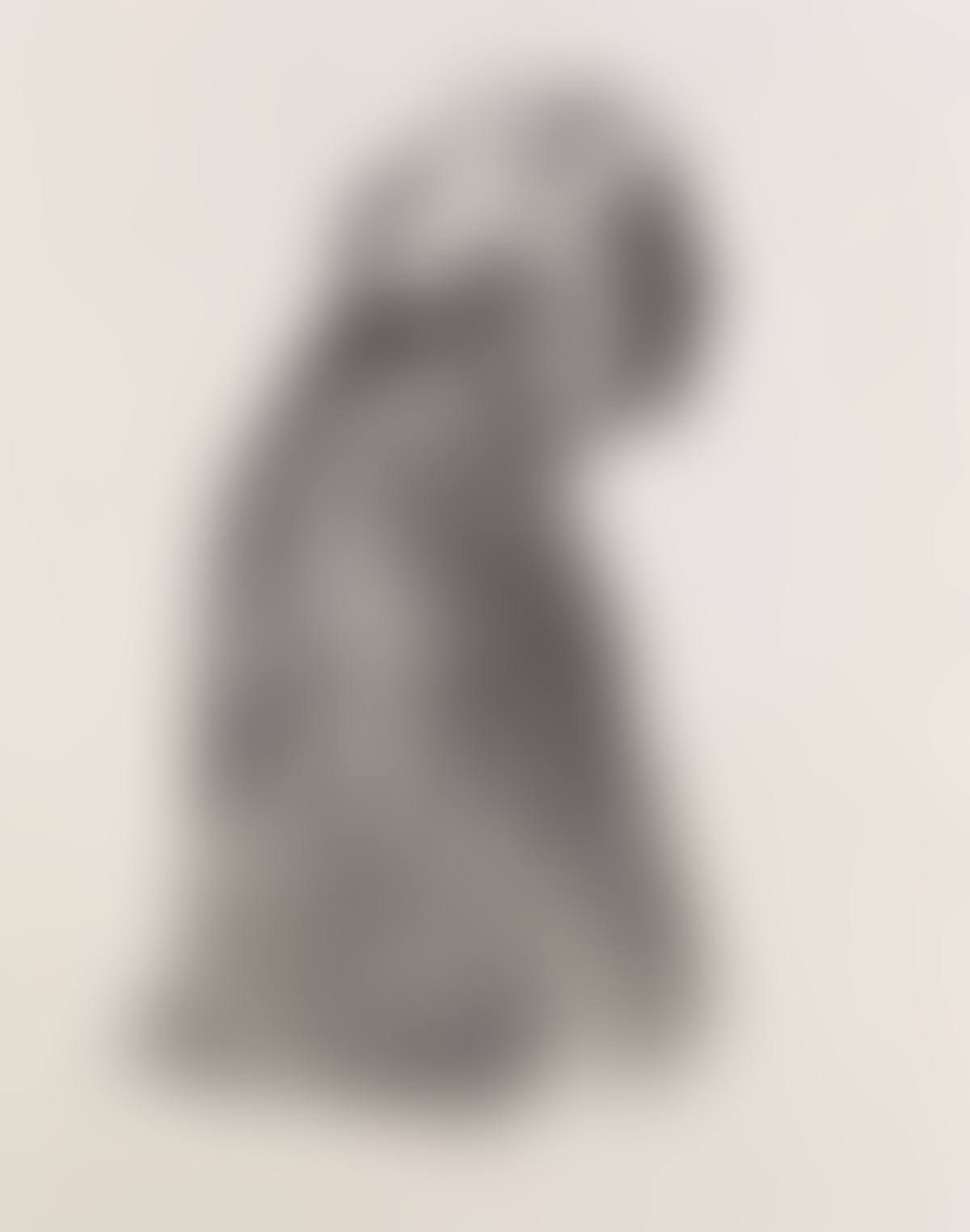 Selbstbildnis Im Profil Nach Rechts (preview)