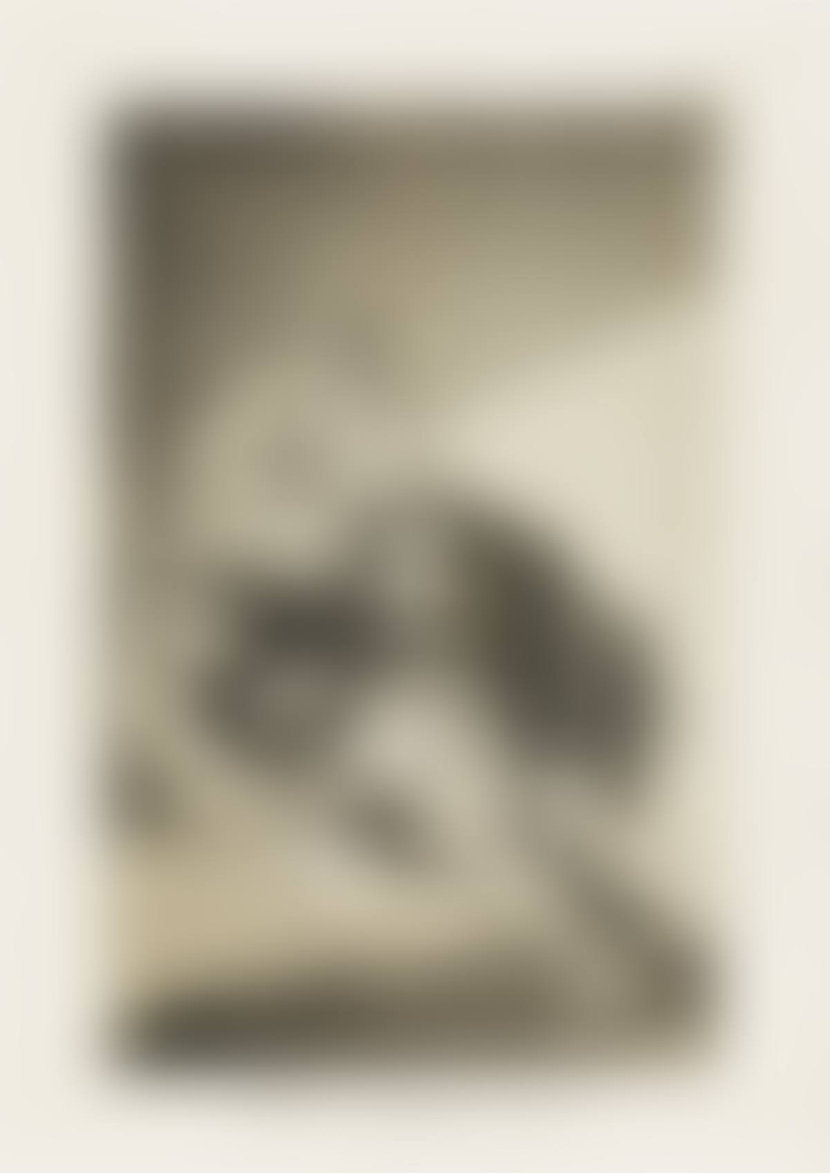 El Vergonzoso (preview)