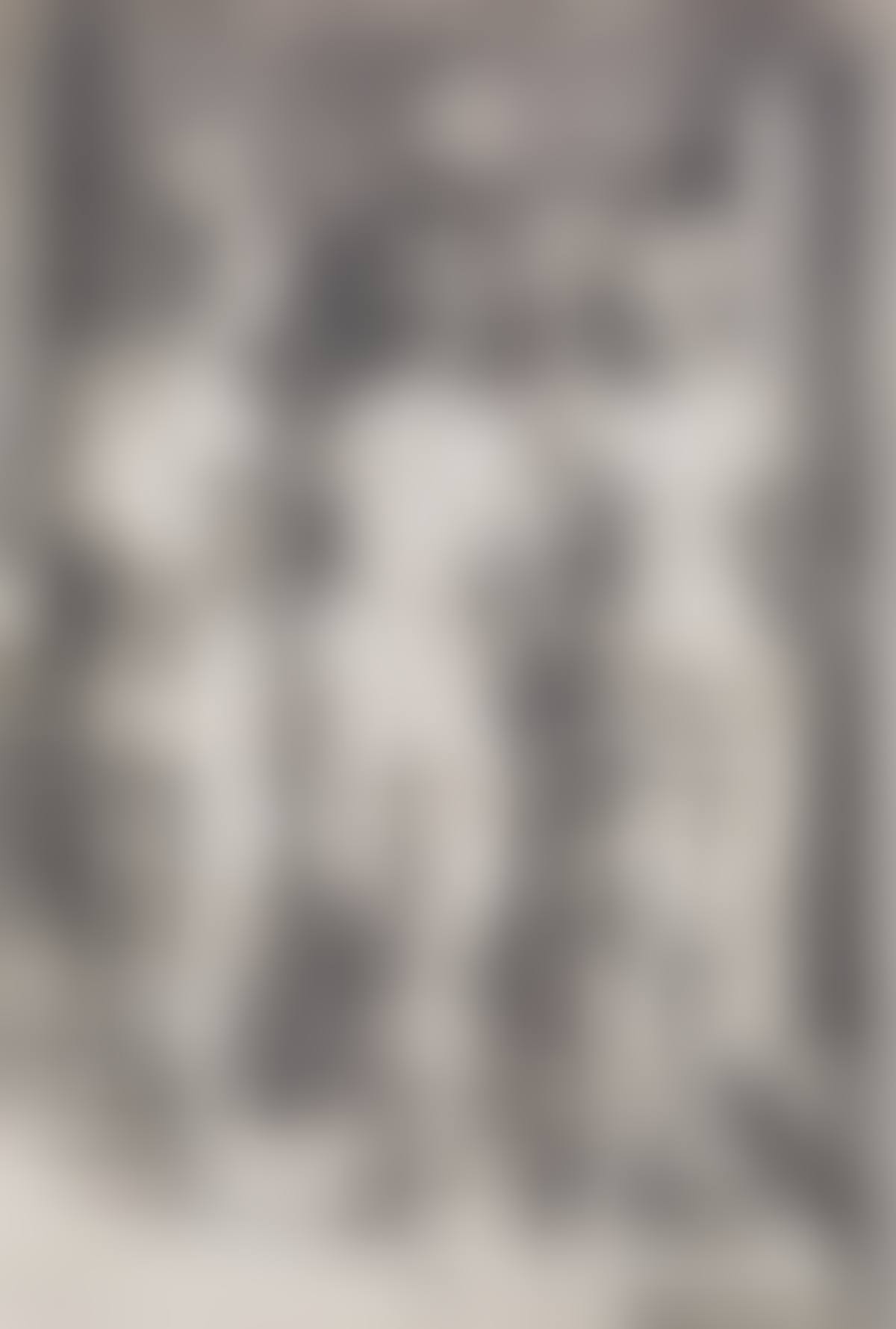 Four Naked Women (preview)