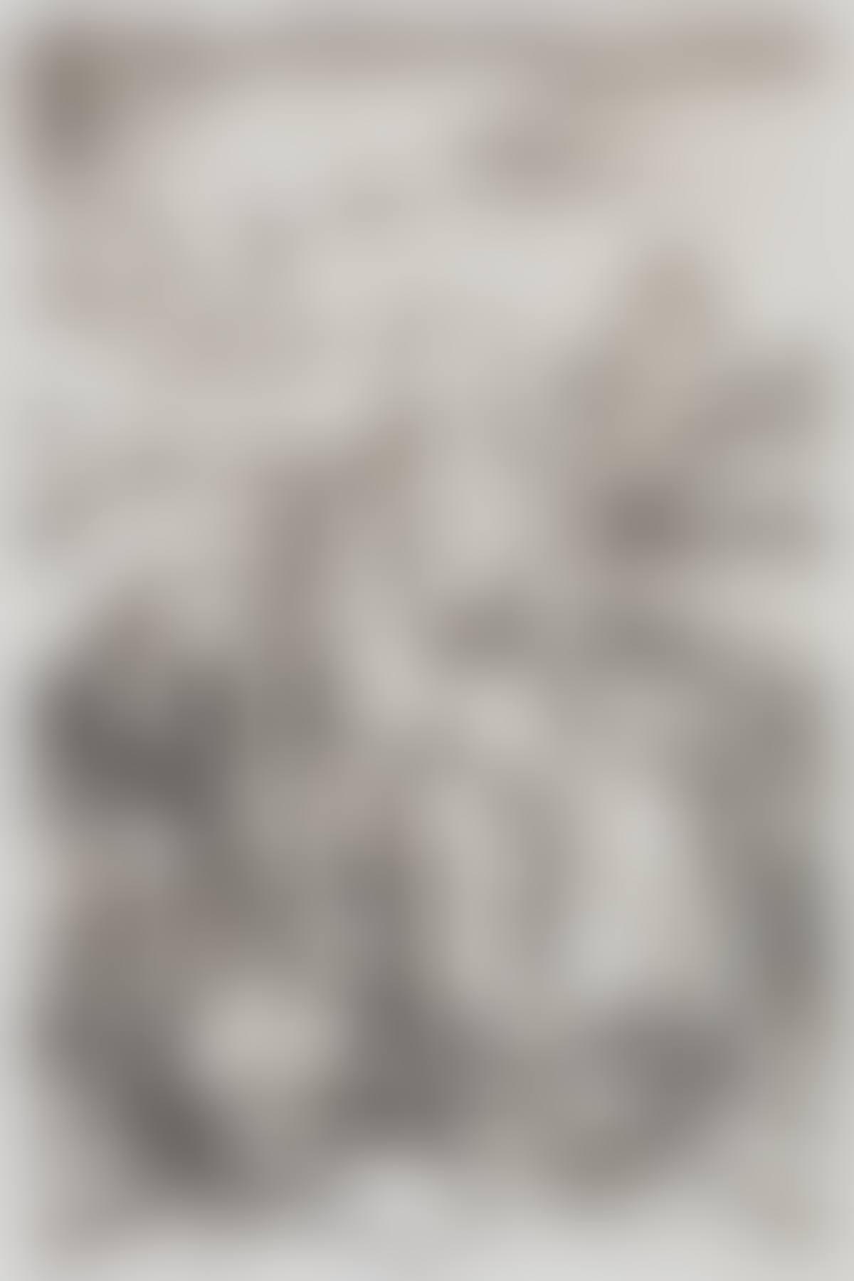 Virgin and Child with the Monkey (preview)