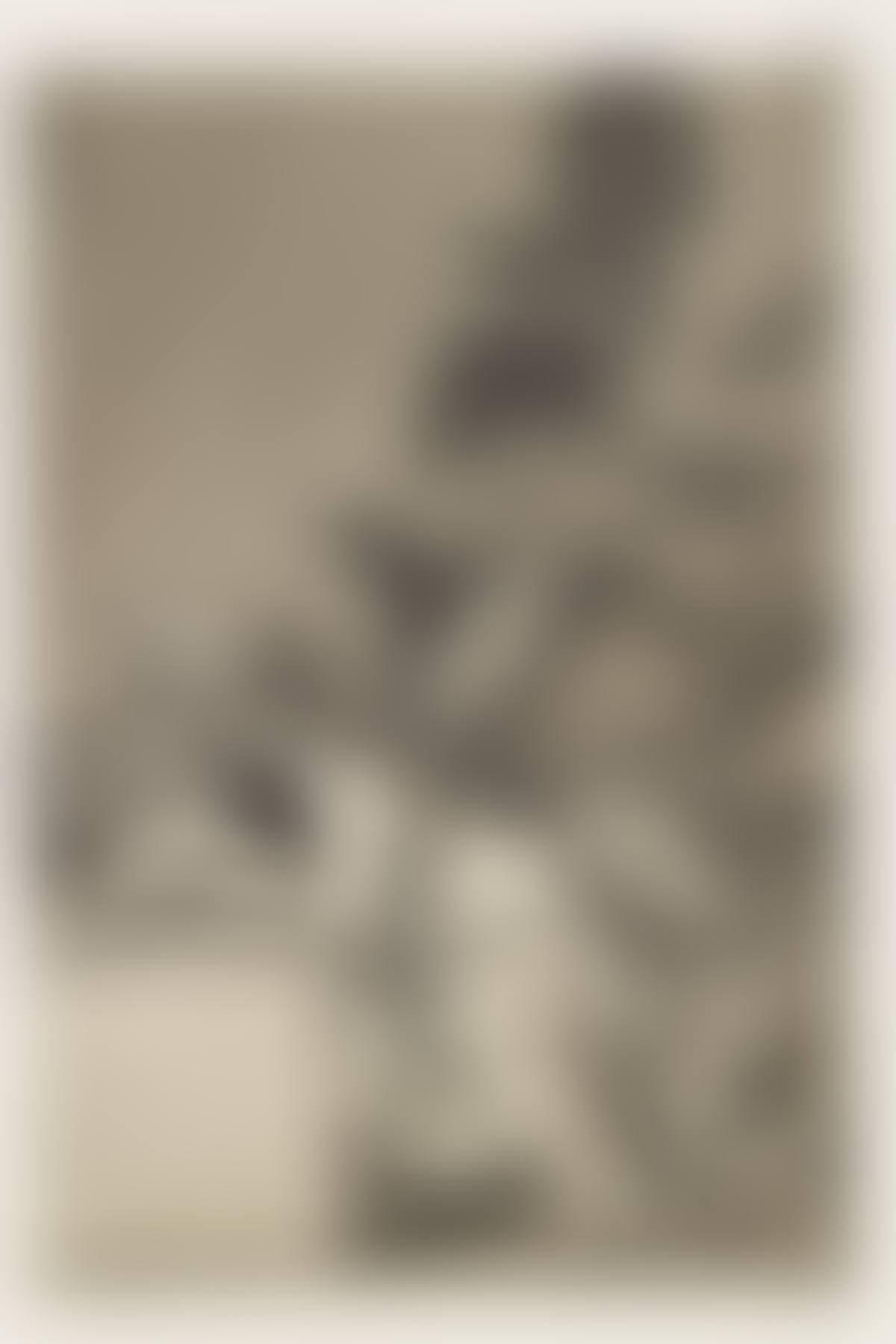 Los Caprichos (preview)