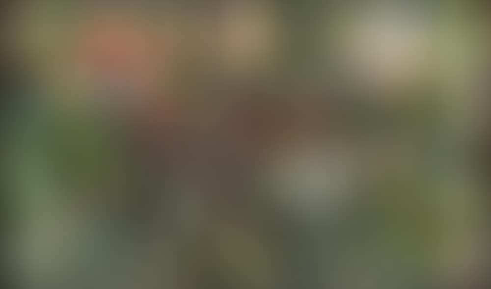 SENZA TITOLO (preview)
