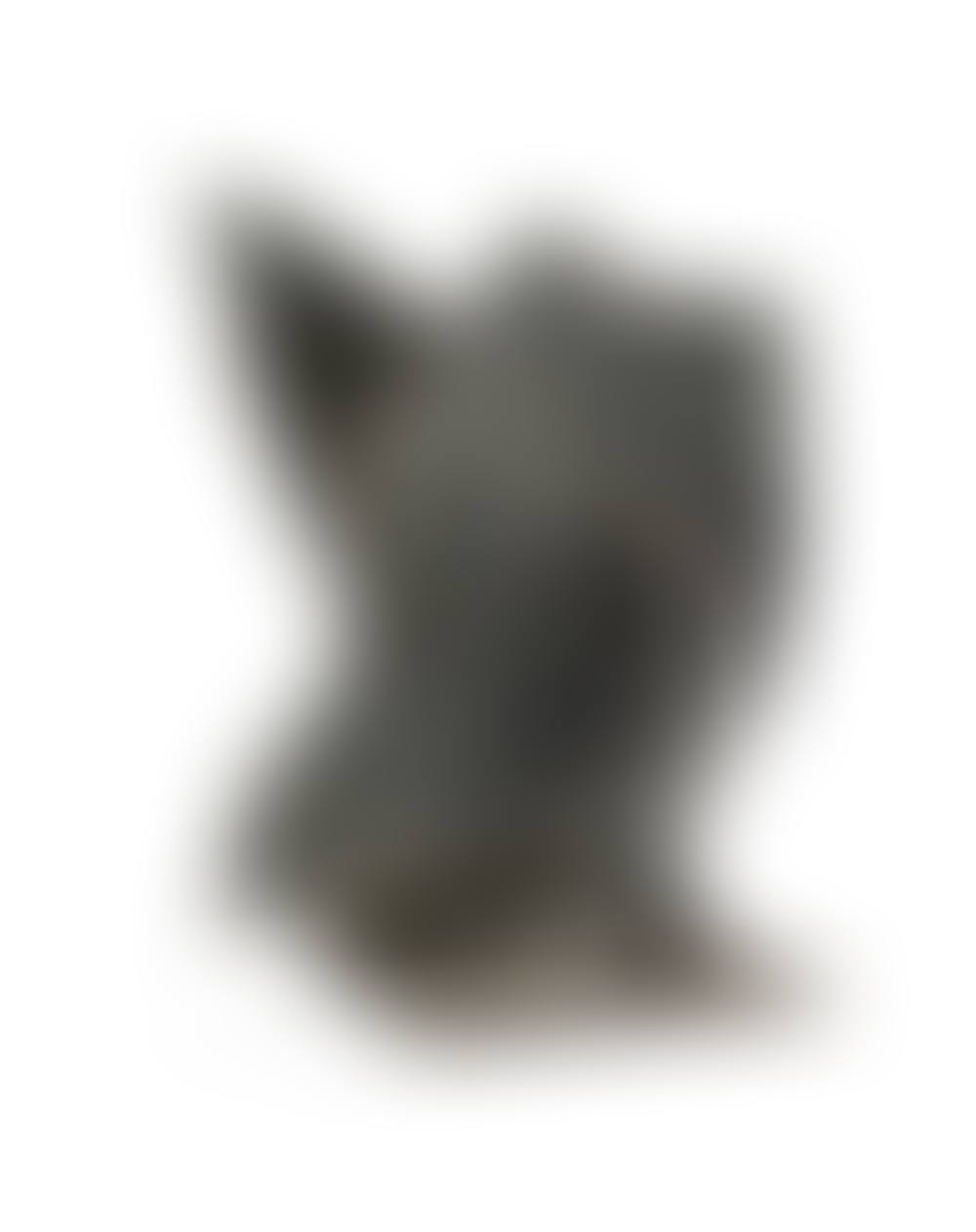 COMPOSIZIONE (preview)
