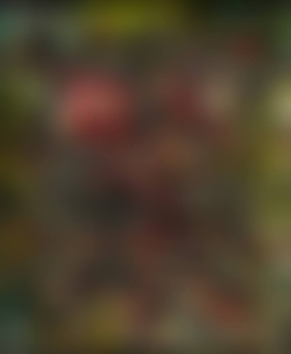 SENZA TITOLO (preview)