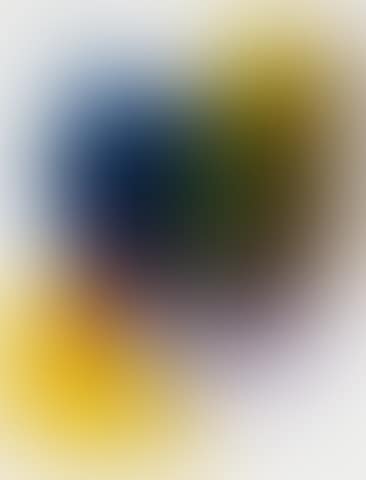 Untitled; untitled; Entrance Shaman: Sight Unseen (preview)