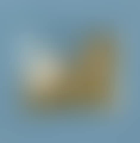 Untitled (State I) (B. 181, E.&B. 325) (preview)