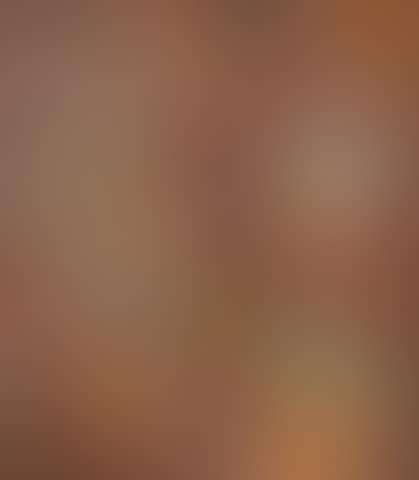New-view, from the New Success Suite (preview)