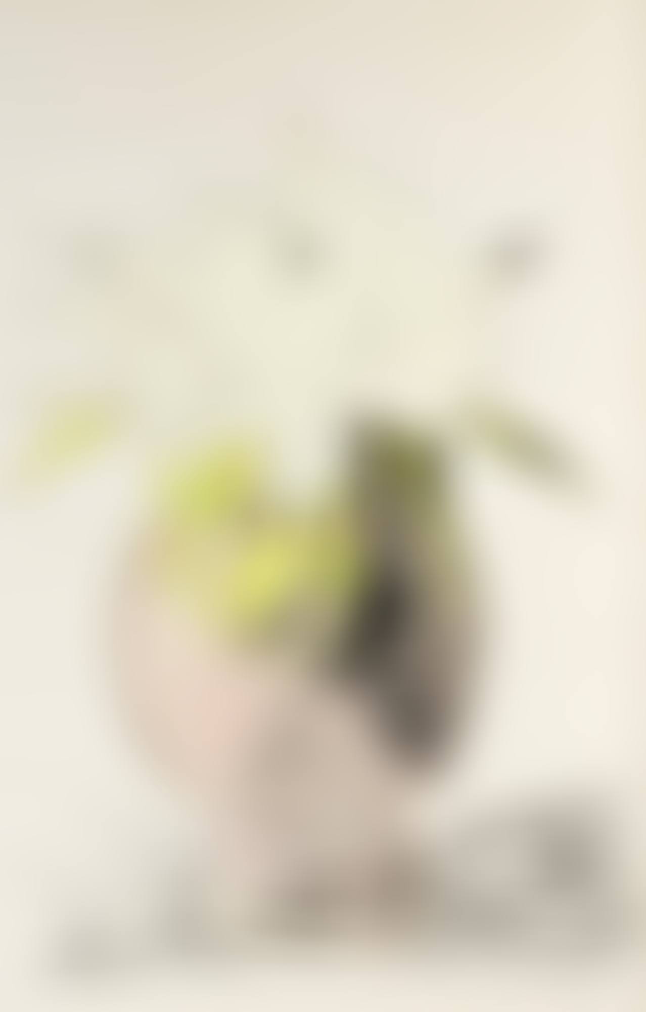 FLOWERS (HAND-COLORED) (preview)