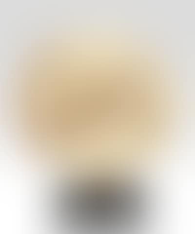 Mincarlo (preview)