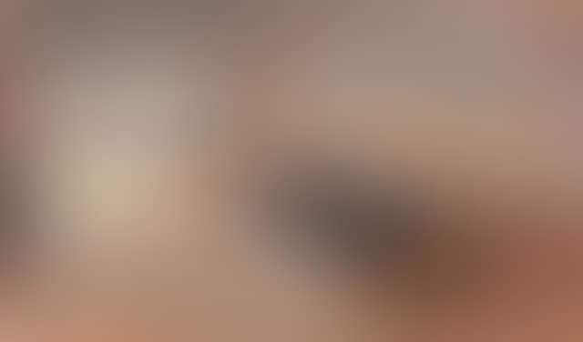 S.S. Ophir (preview)