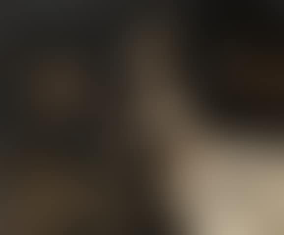 Phora C (preview)