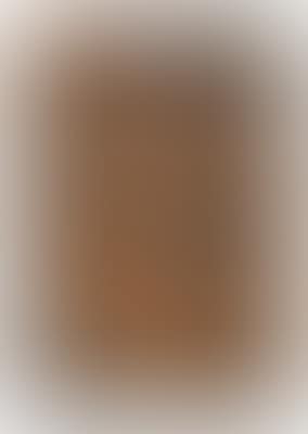 Triptic vertical (preview)