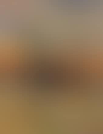 Marcia su Roma (preview)