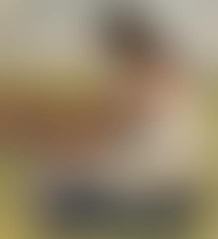 Hilando (La tejedora) (preview)