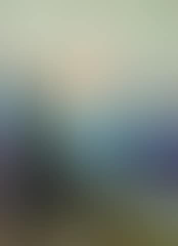 Mount McKinley (preview)