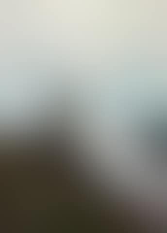 Estuary (preview)