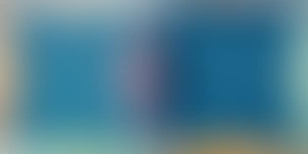 Niantic (preview)