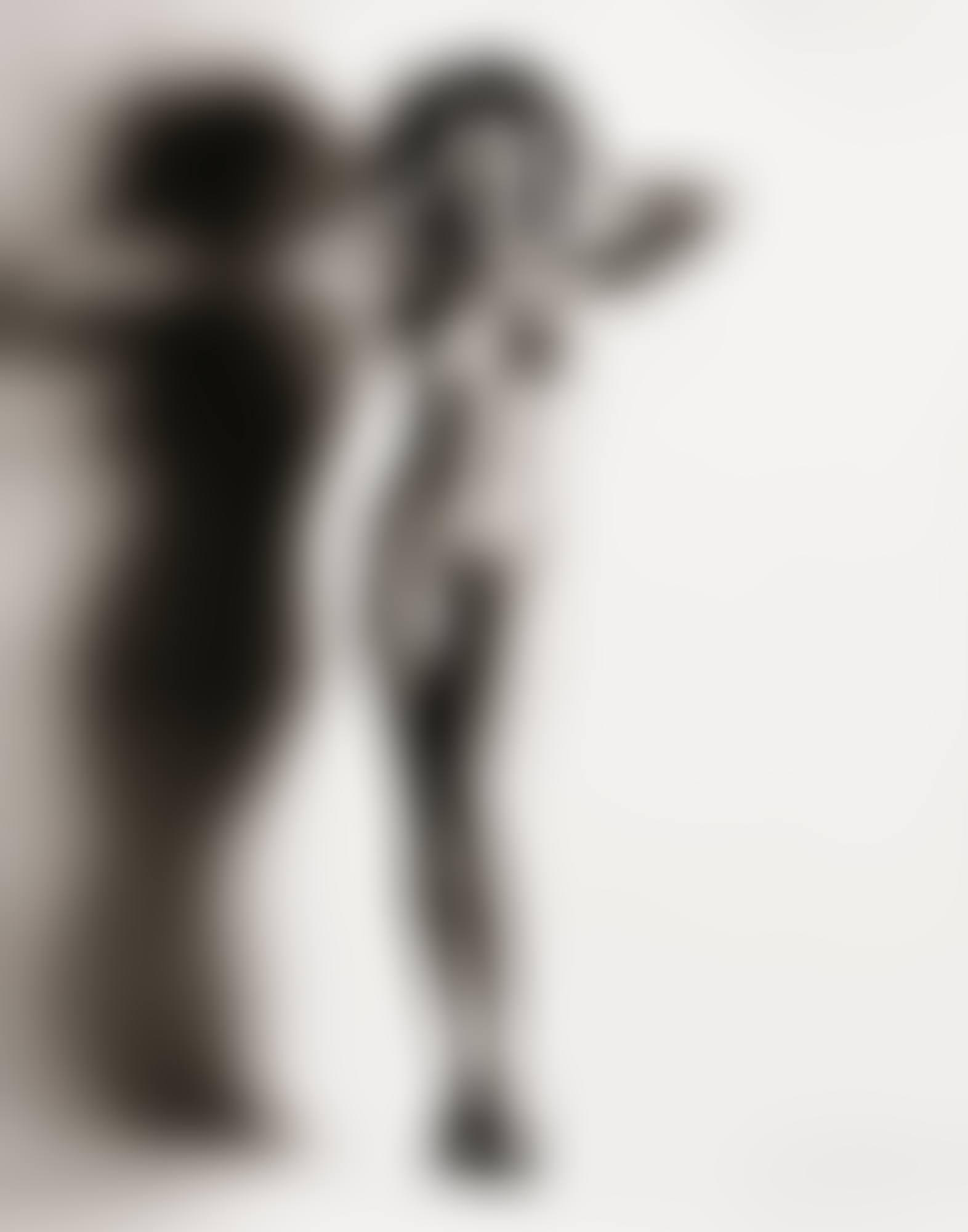 BIG NUDE RAQUEL, NICE (preview)