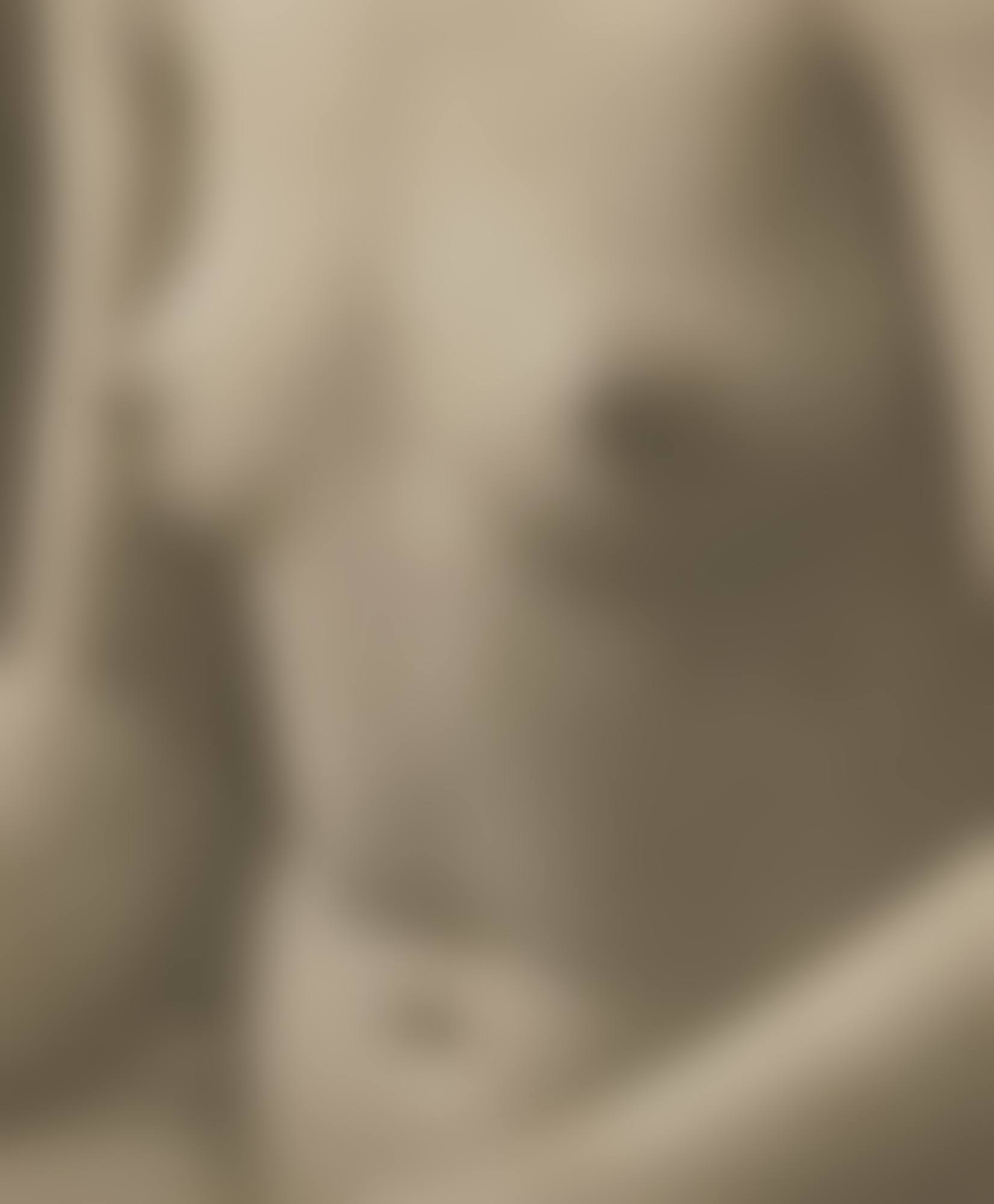 NUDE TORSO, SEMI-ABSTRACTION (preview)