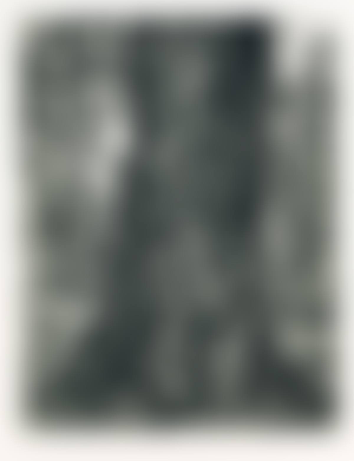 After Constable's Elm (preview)