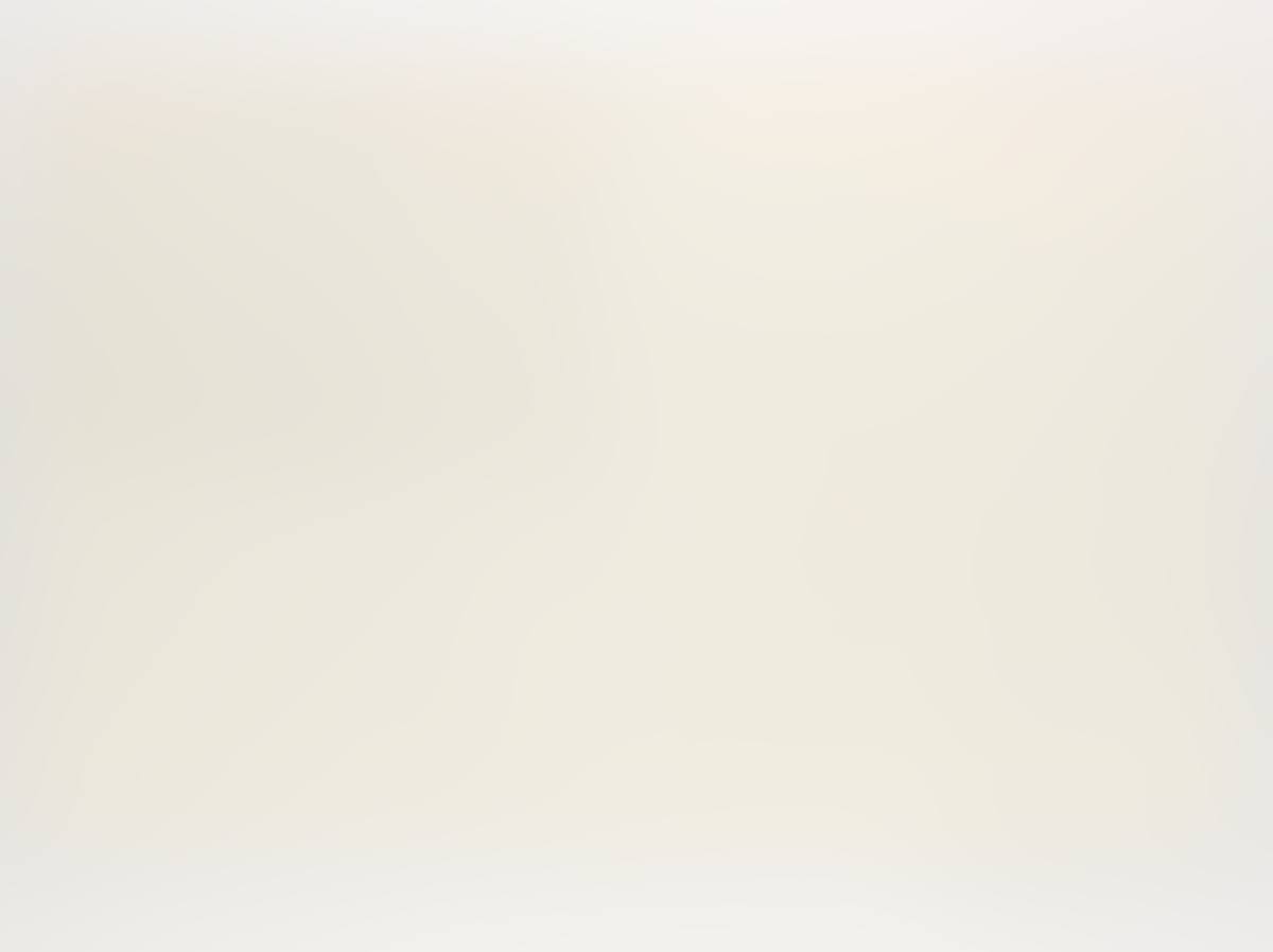 Untitled (white Flag) (preview)