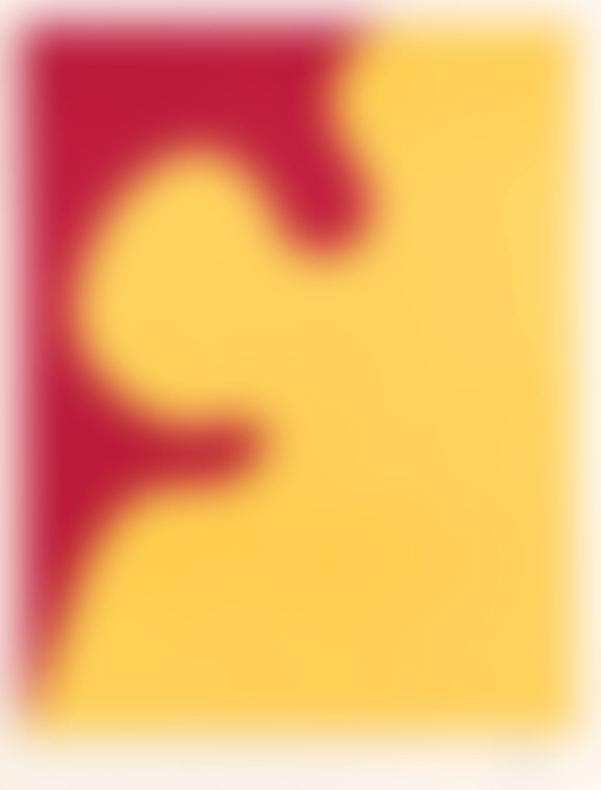 Affiche St. Gallen I (preview)