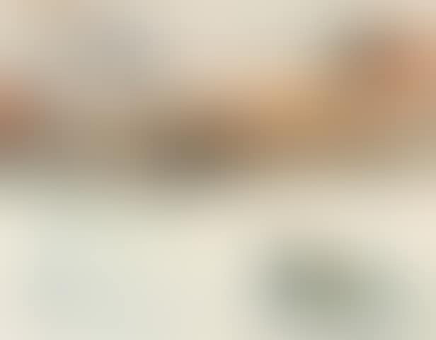 Port de Toulon (preview)