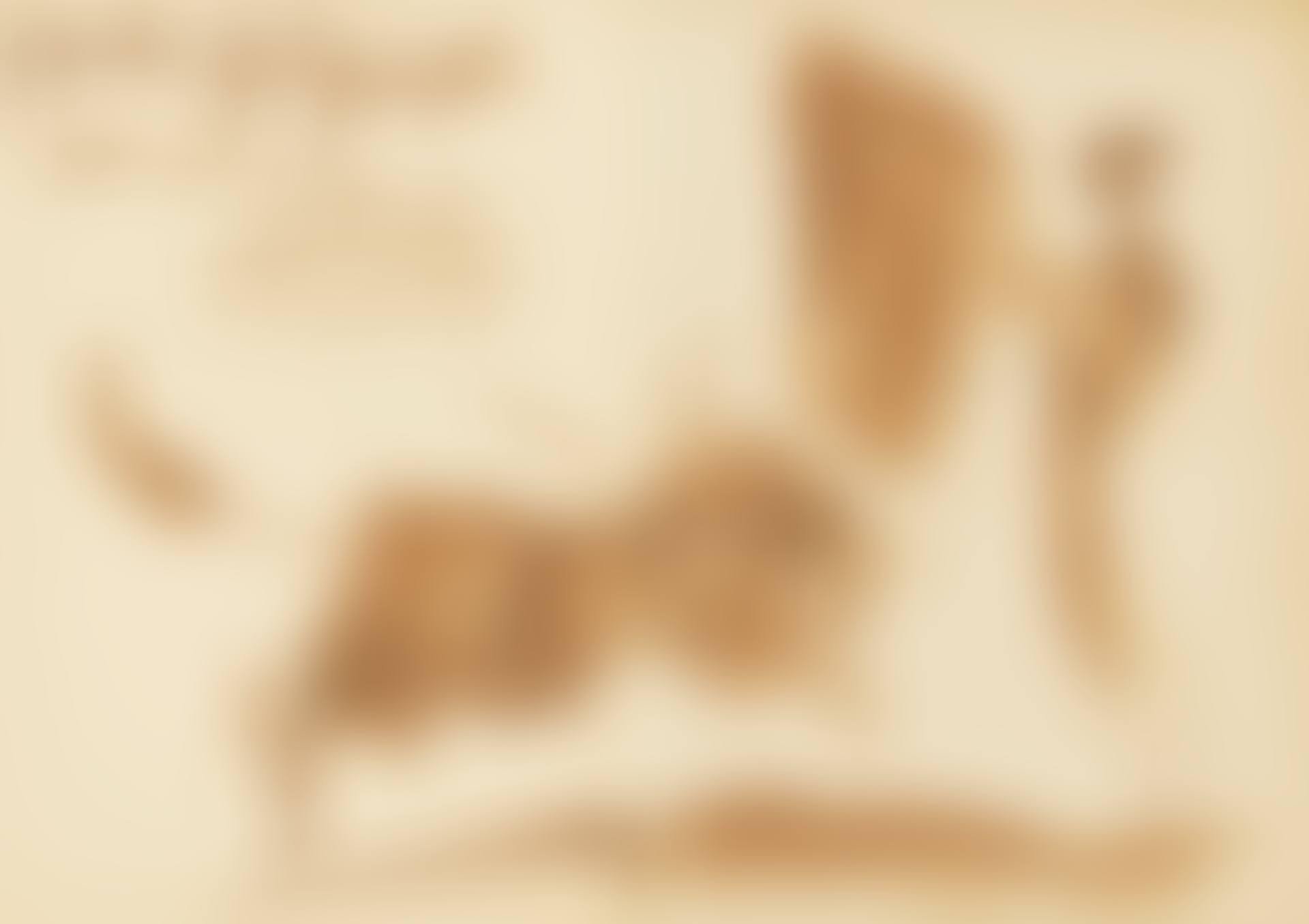 Toréador et taureau (preview)