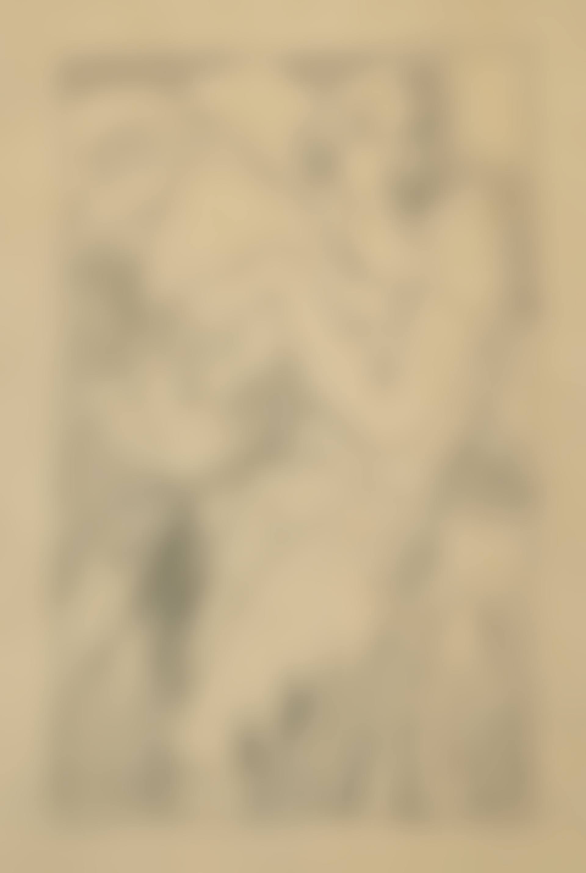 Etude pour Portrait d’Ira P. (preview)