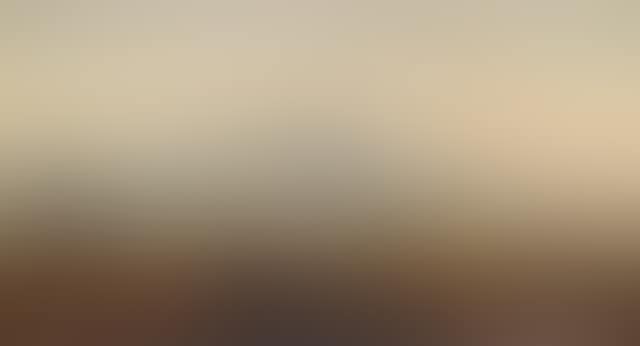 On the Roman Campagna (preview)