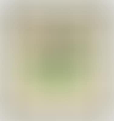 Borzoi (preview)