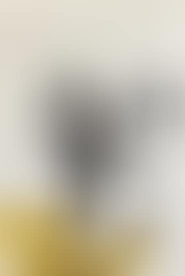 Portrait of Paul Jenkins (preview)