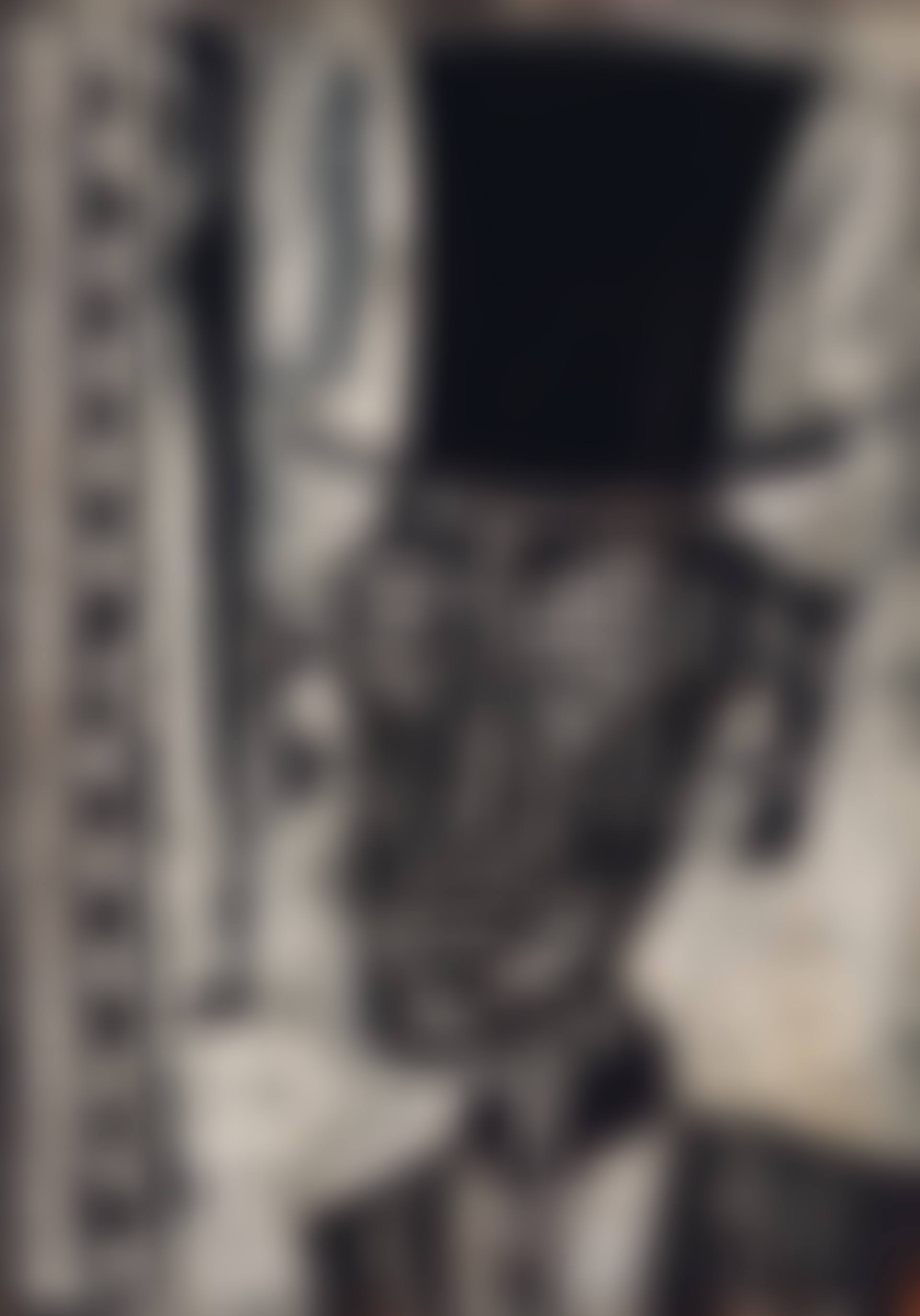 El conde, amigo de Ramona (preview)