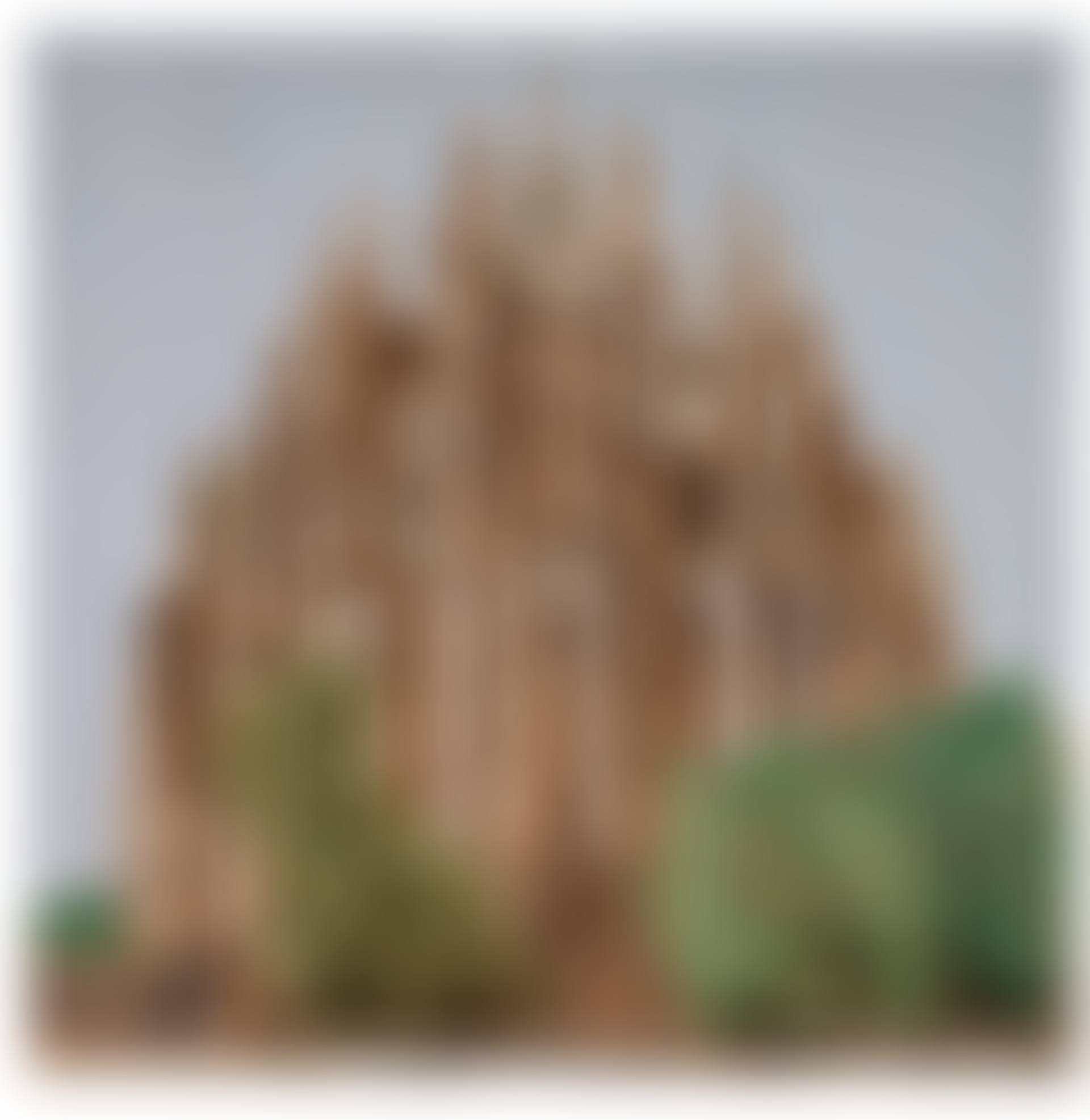 RELIEF: LANDSCAPE (preview)