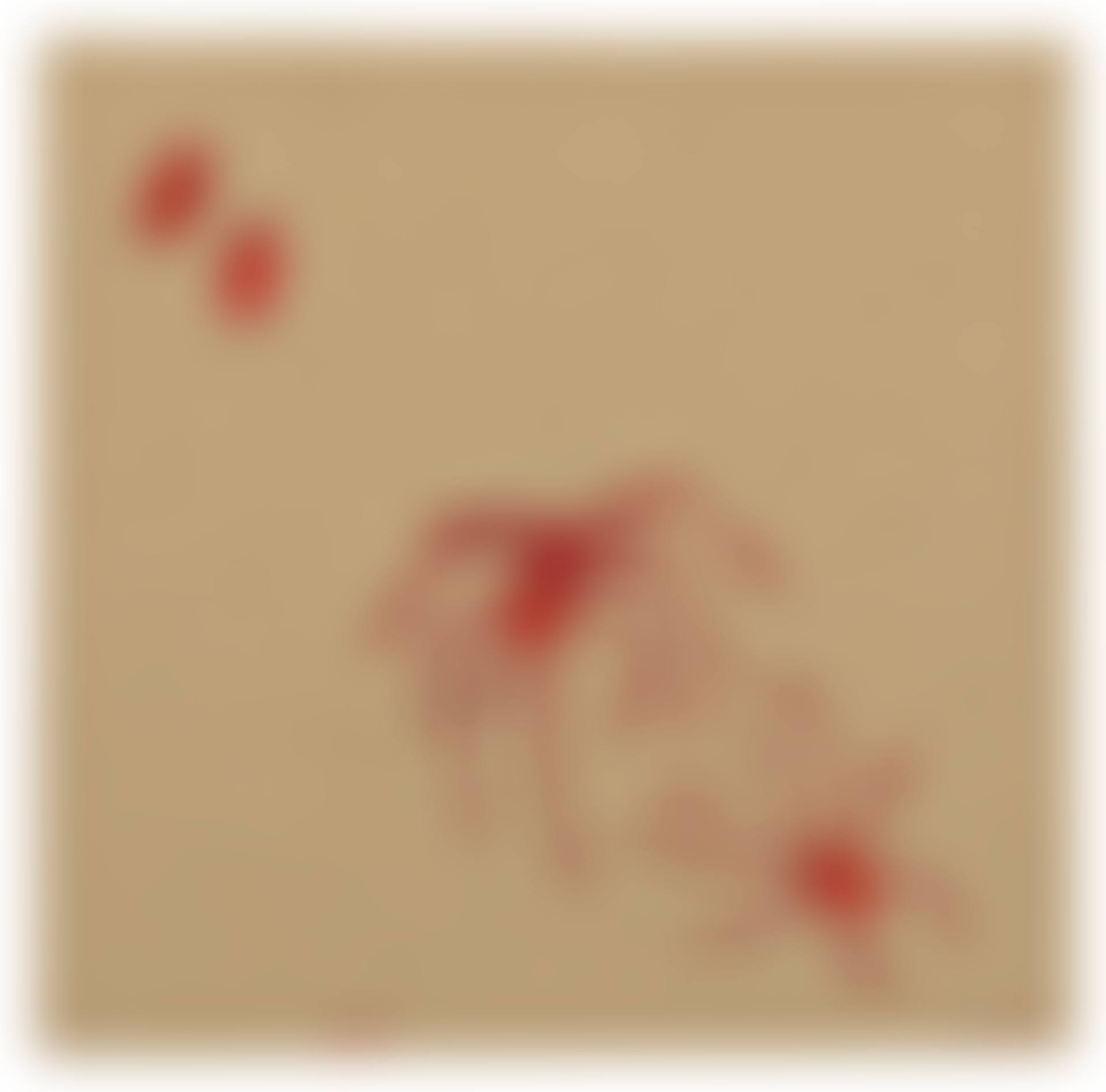 SPIDER (preview)