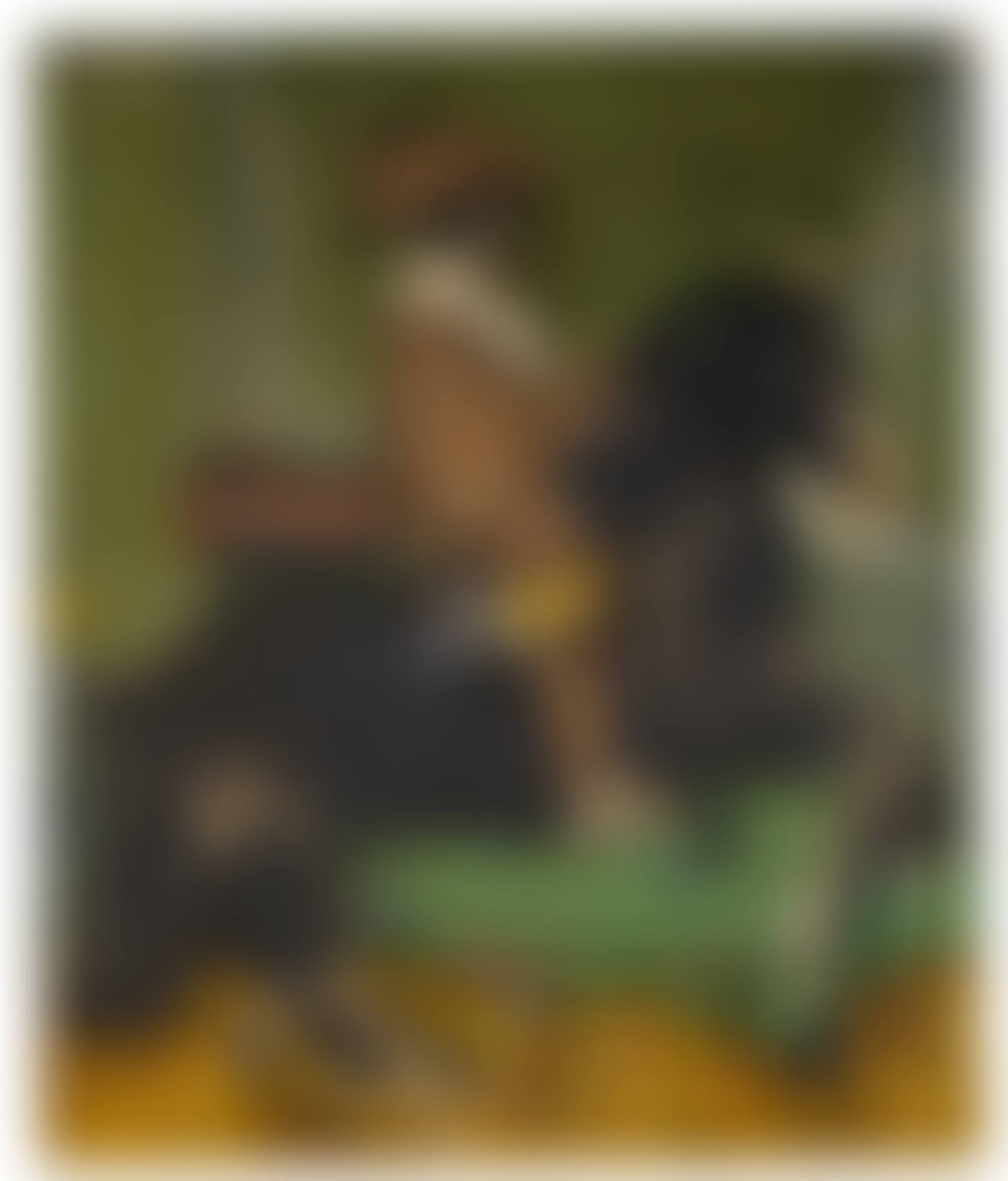 CABALLERO I (FONDO VERDE) (preview)