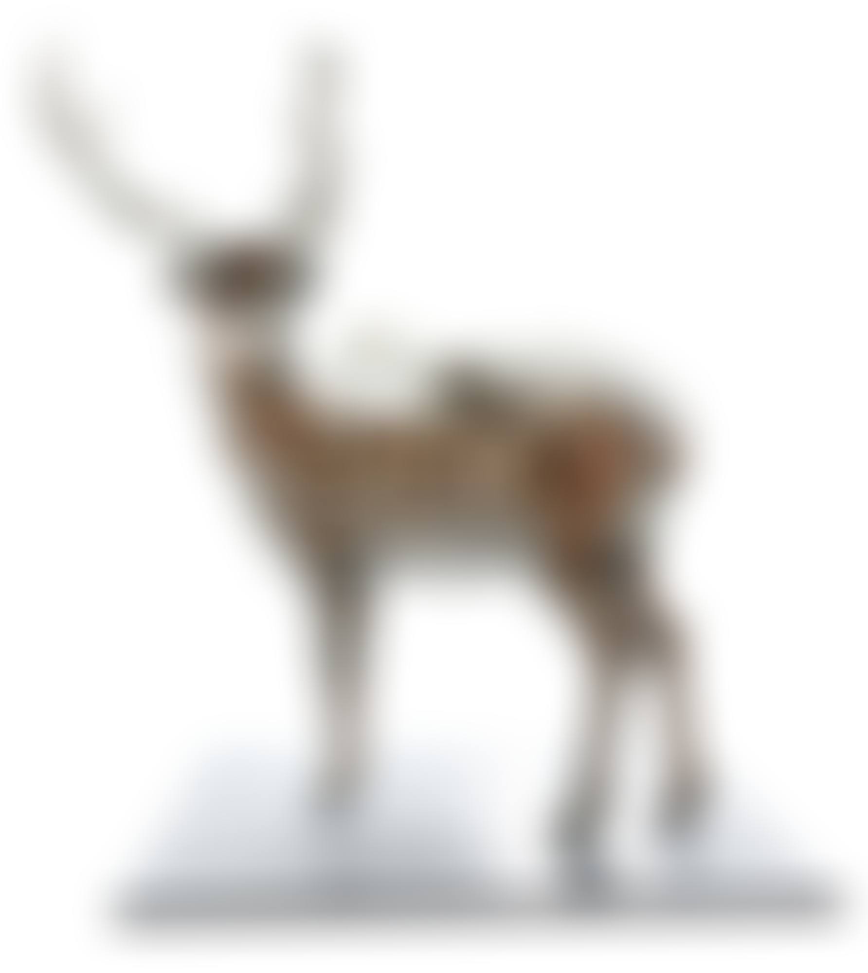 PIXCELL-DEER (MICA) (preview)