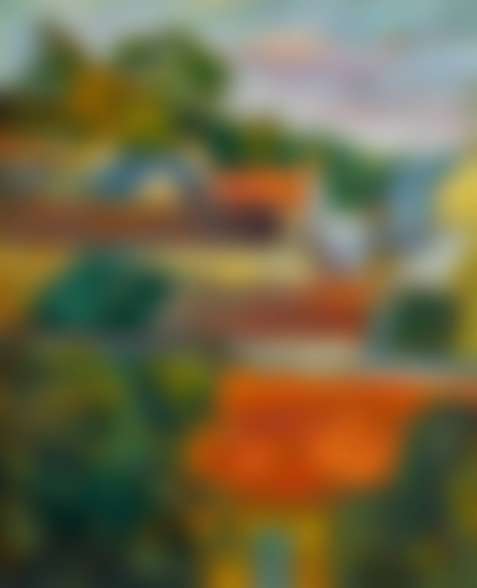 ROOF TOPS - A VILLAGE  (preview)