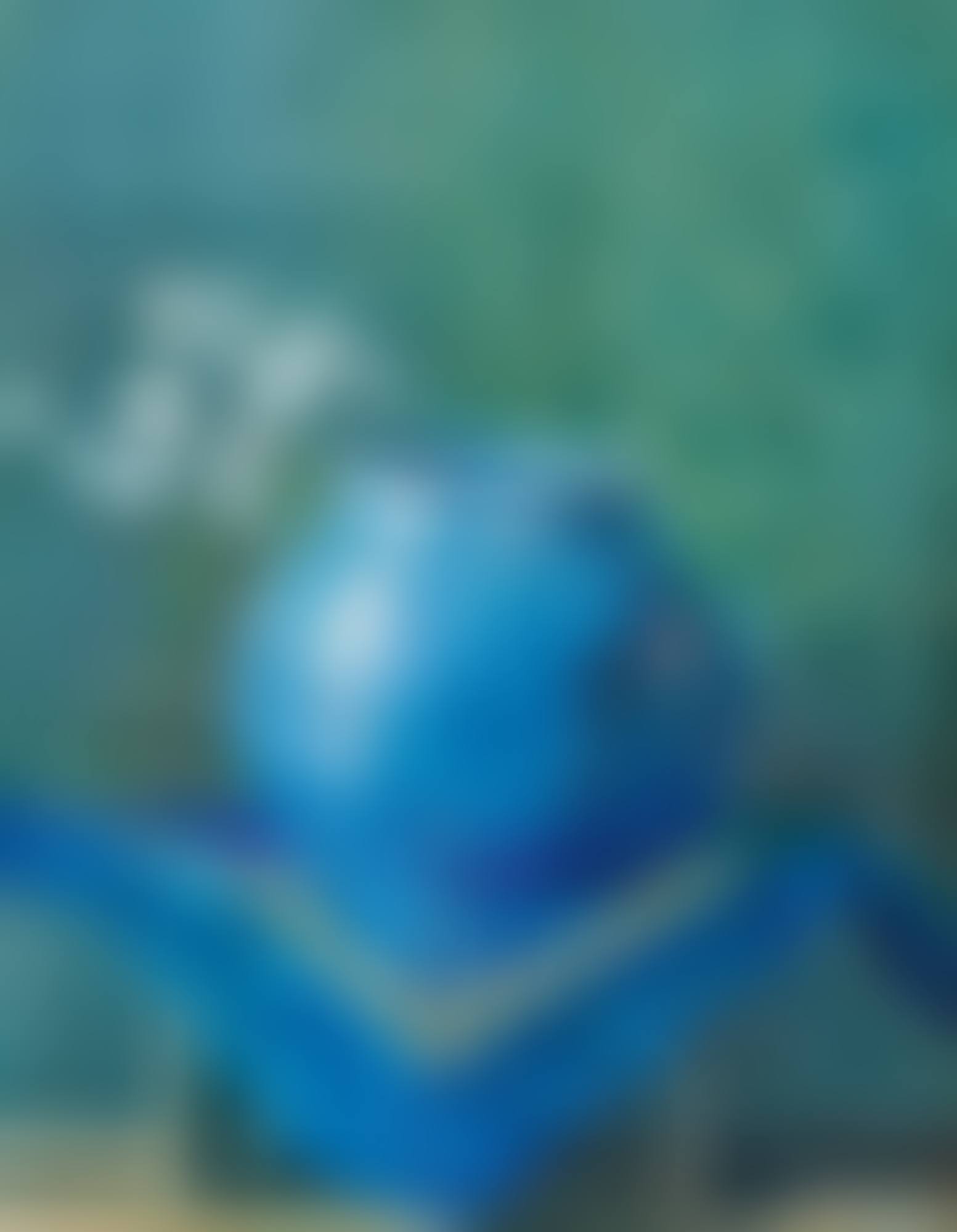 STILLEBEN EINES SILBERBLATTES IN BLAUER VASE (STILL LIFE OF A MONEYPLANT BRANCH IN BLUE VASE) (preview)
