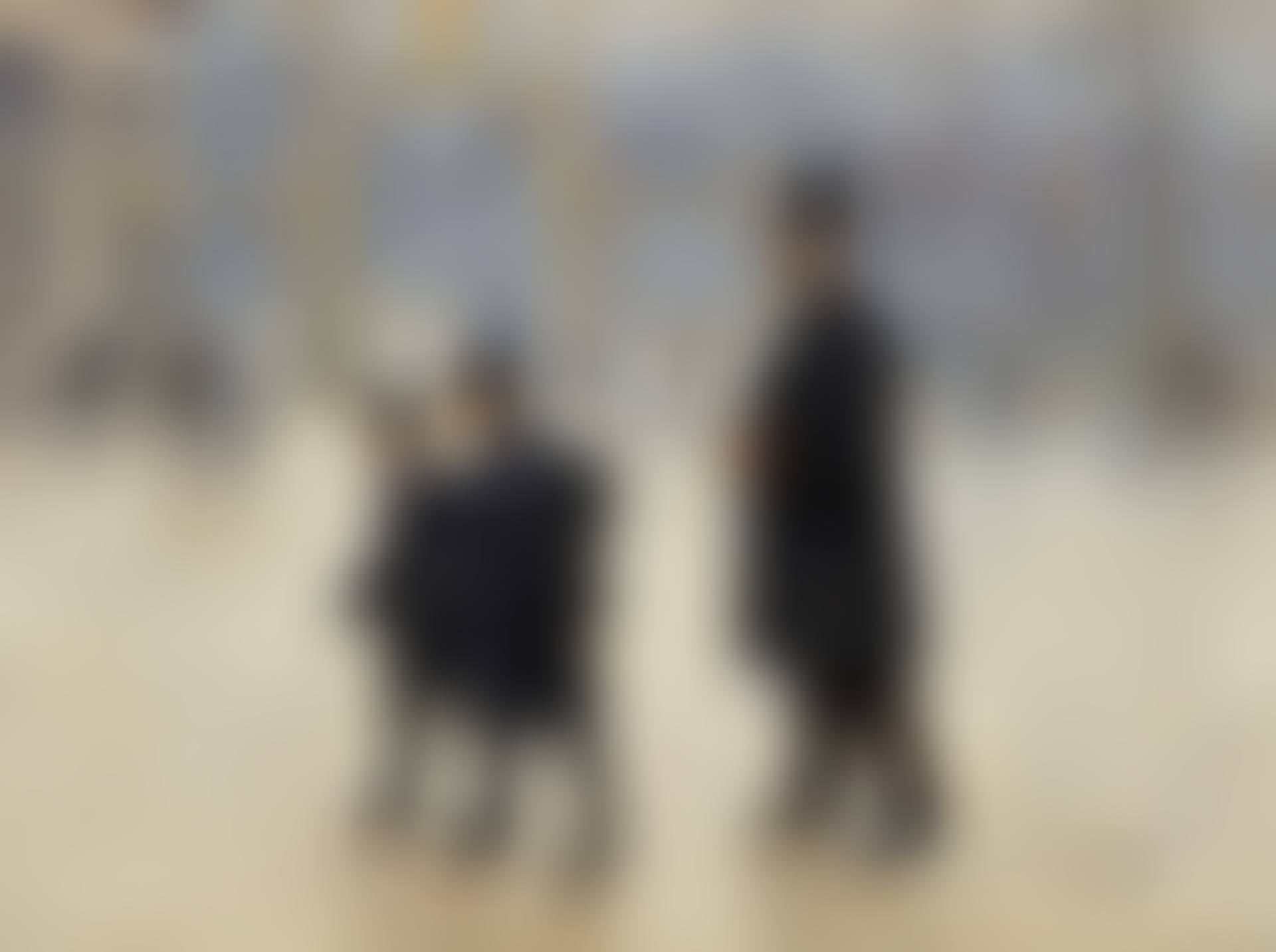 LE PARC MONCEAU (preview)