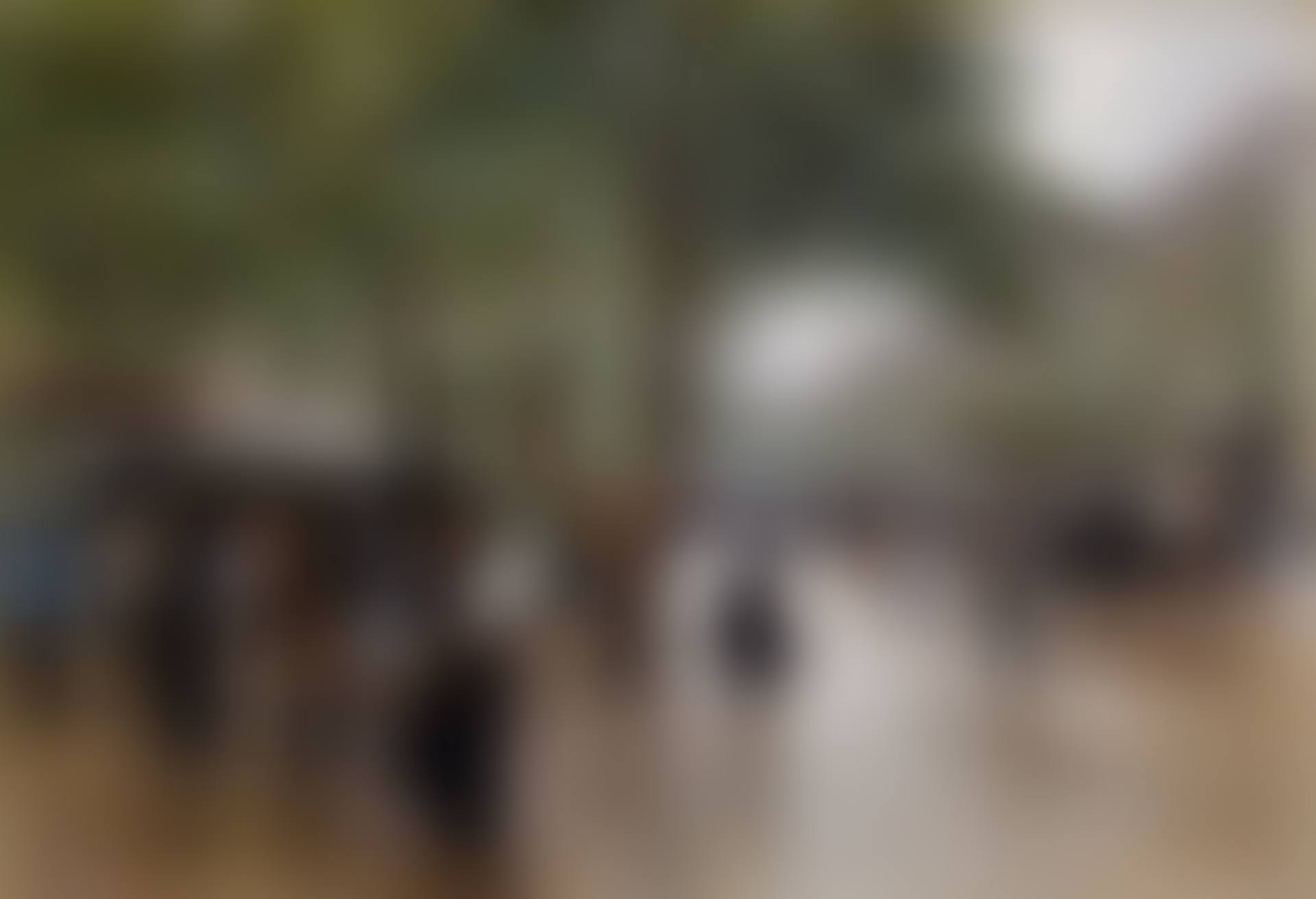 SUR LES GRANDS BOULEVARDS  (preview)