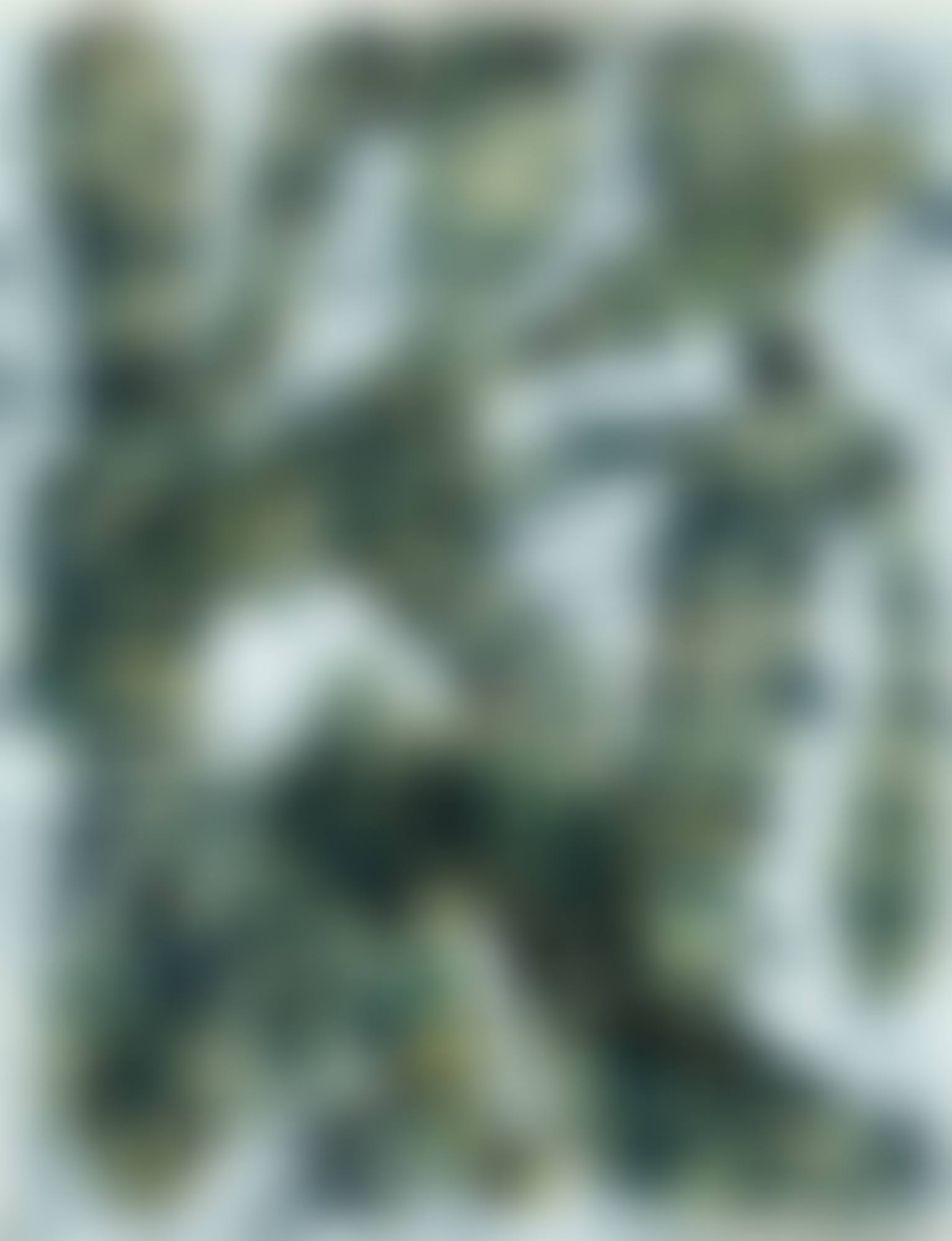 CHROMOSOMES (preview)