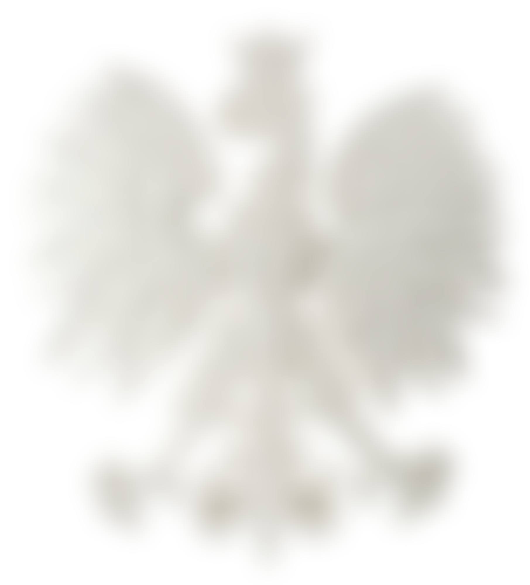 UNTITLED (EAGLE) (preview)