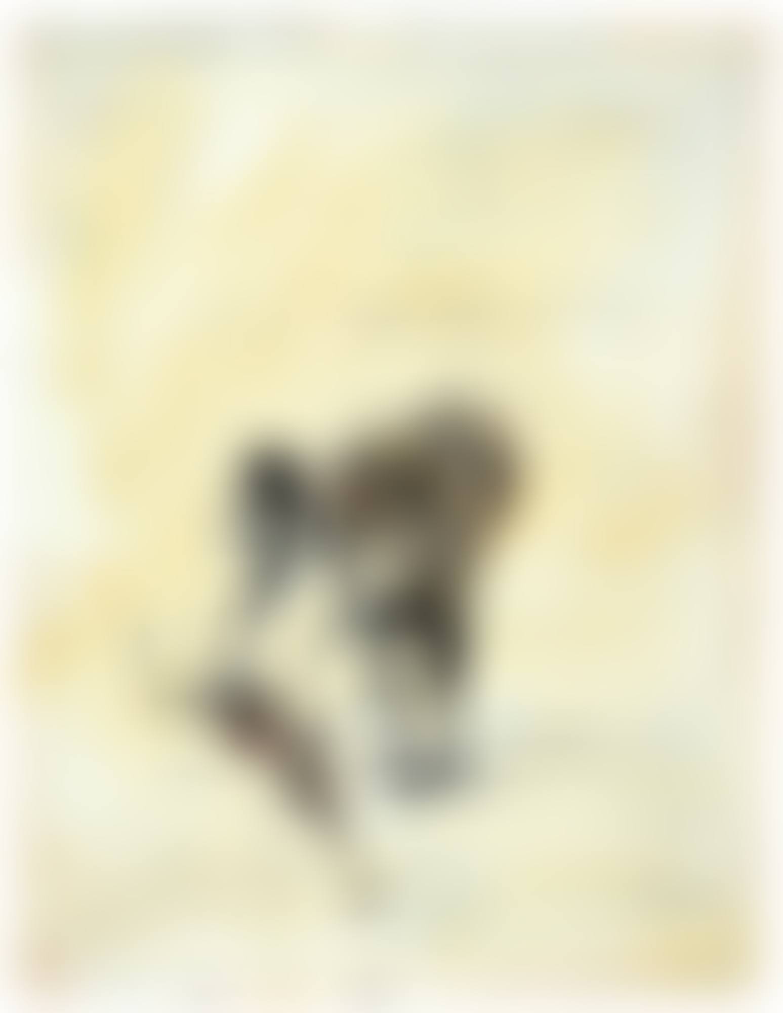 UNTITLED (preview)