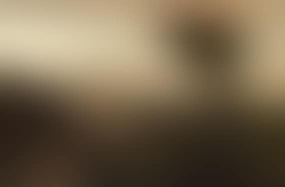 Blick auf den Vesuv (preview)