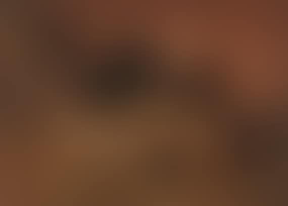 Hirten am Feuer (Abendlandschaft) (preview)