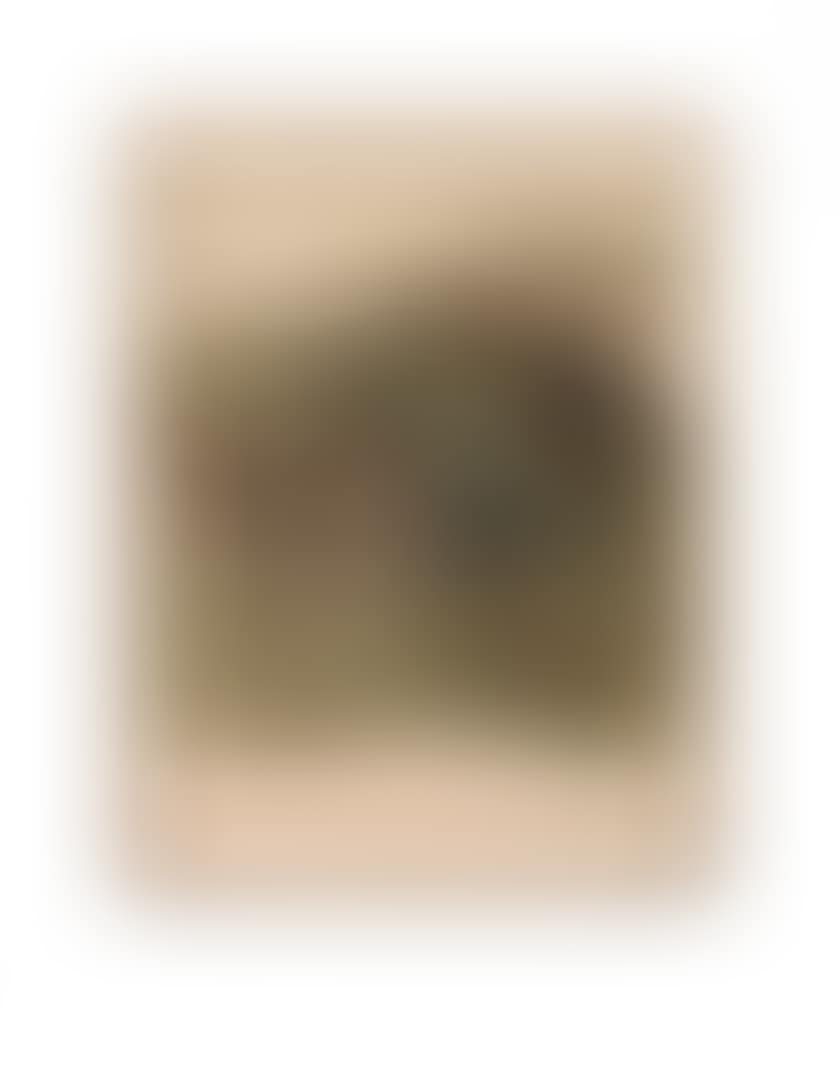 Lithograph (preview)