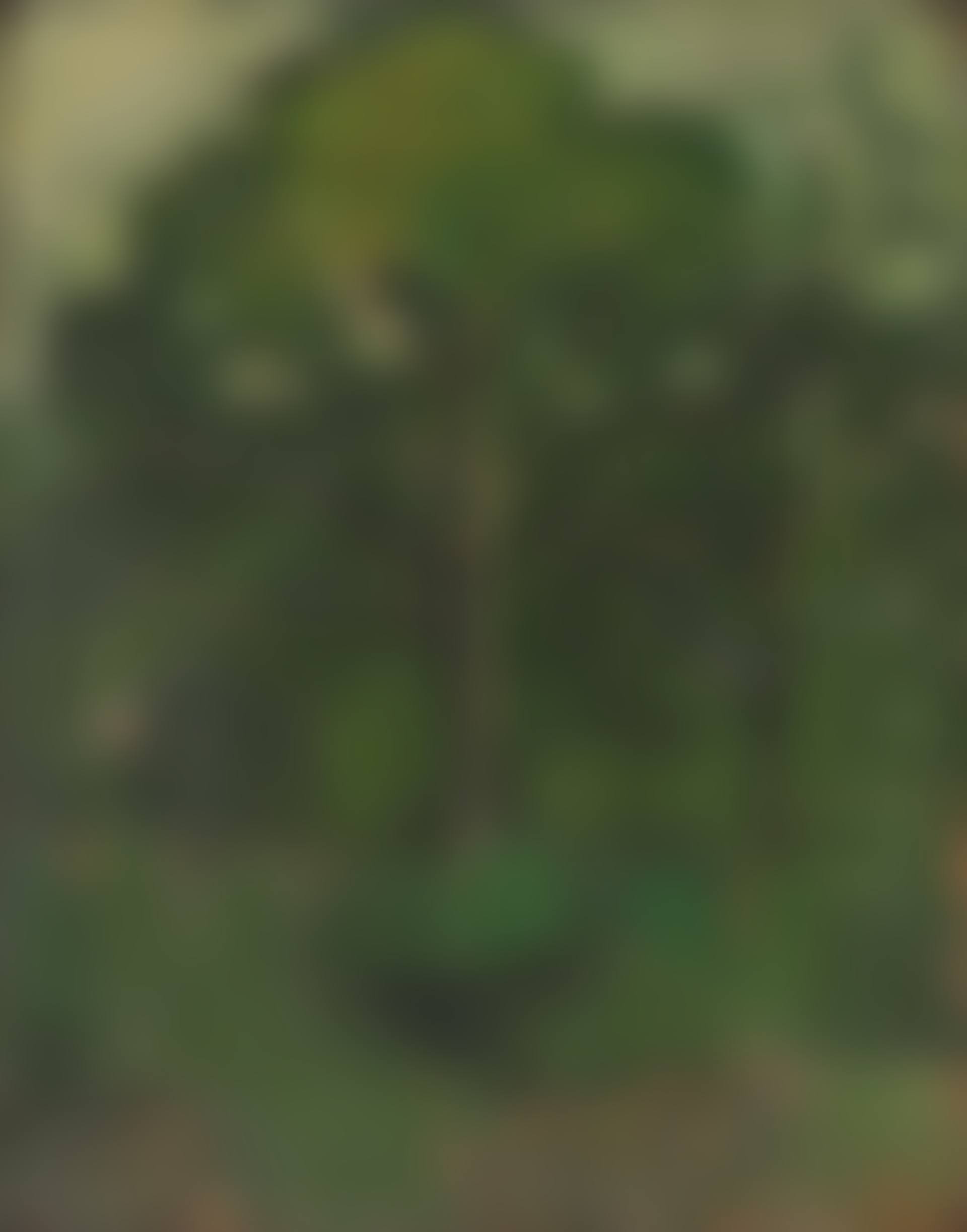 Trees (preview)