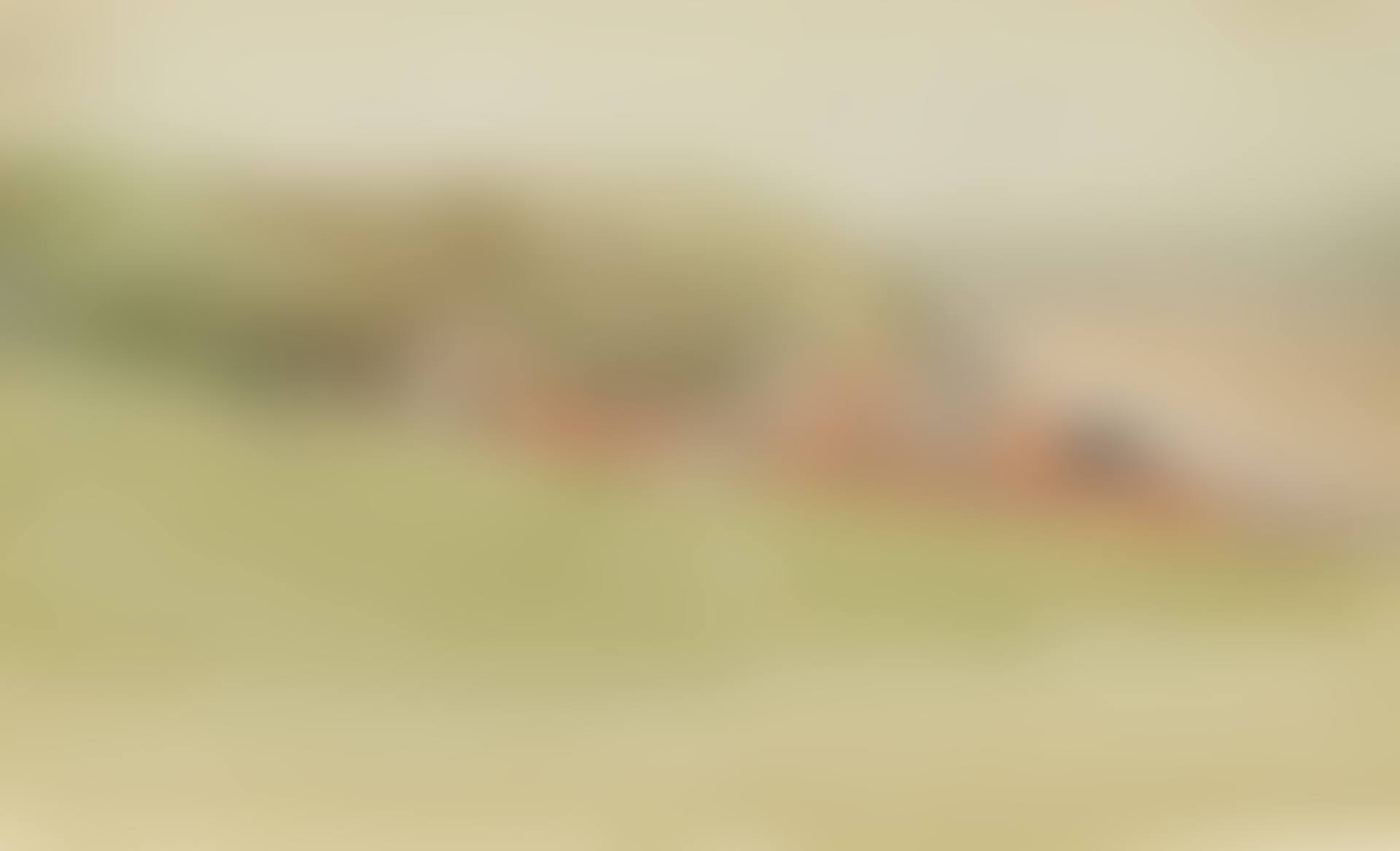 Hastings (preview)