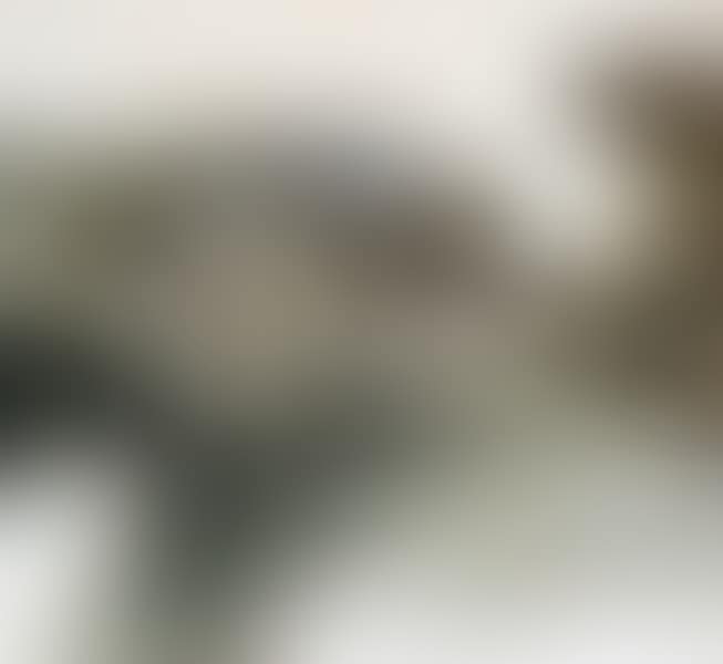 25.05.70 (preview)